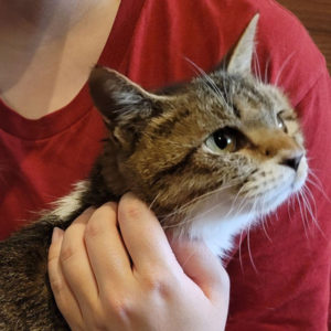 しらたまちゃん