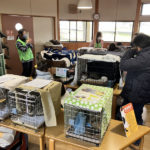 猫の譲渡会＆相談会（2025年2月15日）