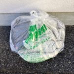 猫の譲渡会＆相談会（2025年2月15日）