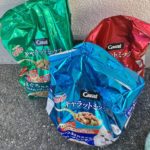 猫の譲渡会＆相談会（2025年2月15日）