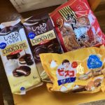 猫の譲渡会＆相談会（2025年2月15日）