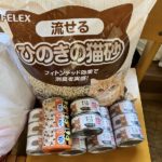 猫の譲渡会＆相談会（2025年2月15日）