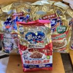 猫の譲渡会＆相談会（2025年2月15日）