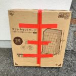 猫の譲渡会＆相談会（2025年3月15日）