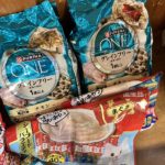 猫の譲渡会＆相談会（2025年3月15日）