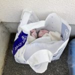 猫の譲渡会&相談会(2025年4月19日)