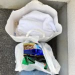 猫の譲渡会&相談会(2025年4月19日)