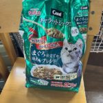 猫の譲渡会＆相談会（2025年7月19日）