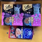 猫の譲渡会＆相談会（2025年7月19日）