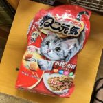 猫の譲渡会＆相談会（2025年7月19日）