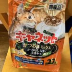 猫の譲渡会＆相談会（2025年7月19日）