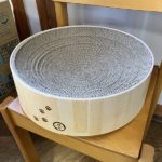 猫の譲渡会＆相談会（2025年7月19日）