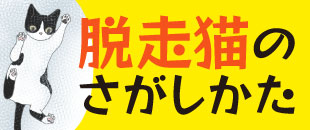 脱走猫の探し方