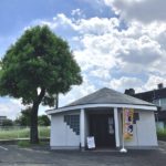 猫の譲渡会＆相談会（2025年8月16日）