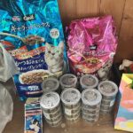 猫の譲渡会＆相談会（2025年8月16日）