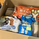 猫の譲渡会＆相談会（2025年8月16日）