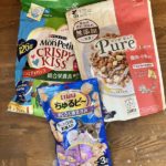 猫の譲渡会＆相談会（2025年8月16日）