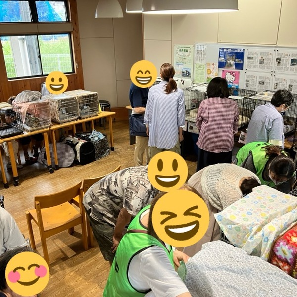 猫の譲渡会＆相談会（2025年9月20日）