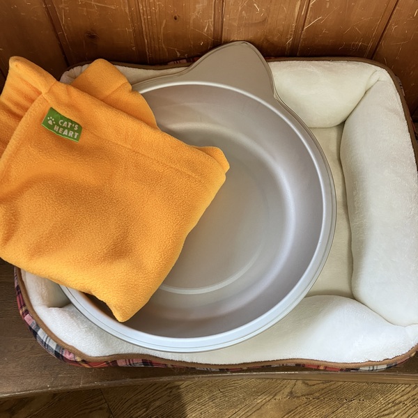 猫の譲渡会＆相談会（2025年9月20日）