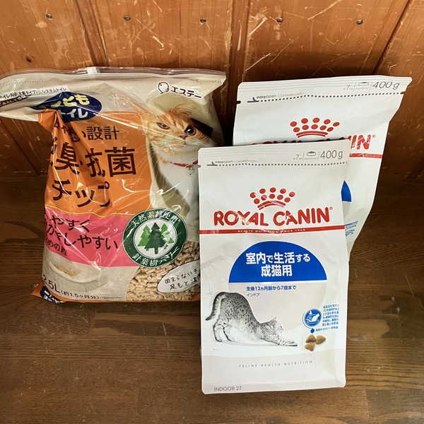 猫の譲渡会＆相談会（2025年9月20日）