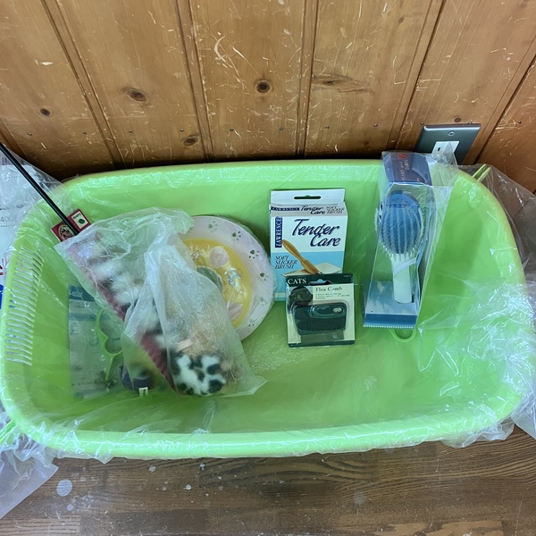 猫の譲渡会＆相談会（2025年9月20日）