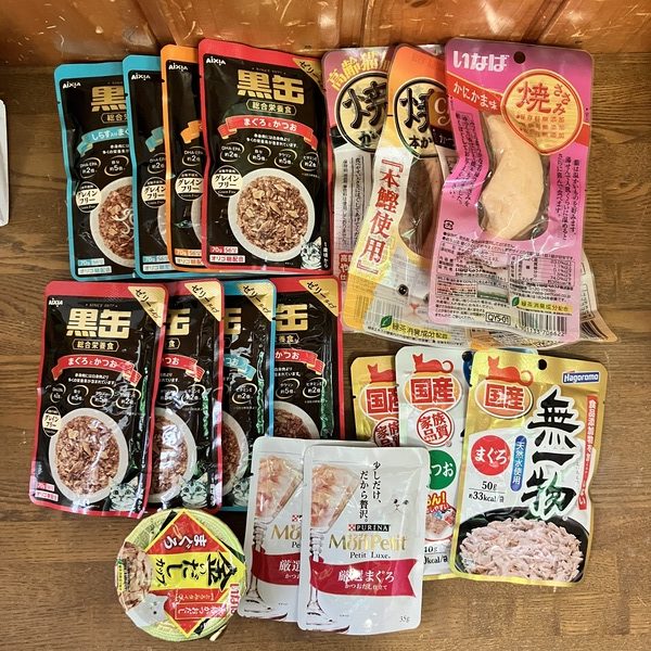 猫の譲渡会＆相談会（2025年9月20日）