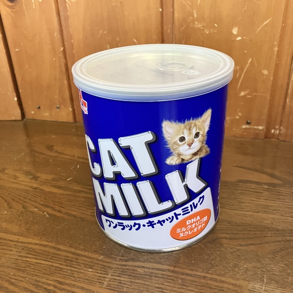 猫の譲渡会＆相談会（2025年9月20日）