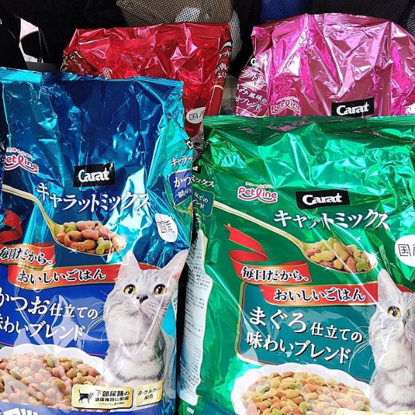 猫の譲渡会＆相談会（2025年9月20日）