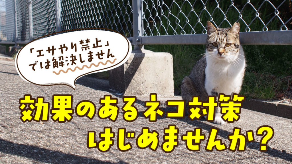 効果のあるネコ対策はじめませんか？