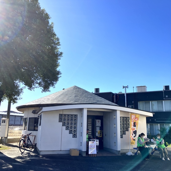 猫の譲渡会&相談会(2025年11月22日)