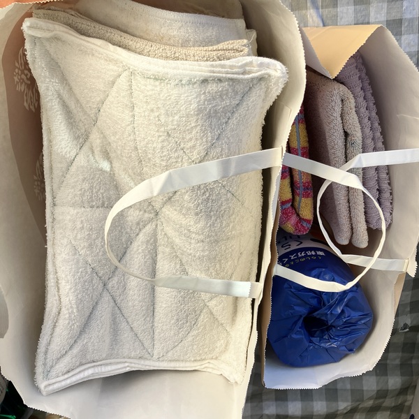 猫の譲渡会&相談会(2025年11月22日)