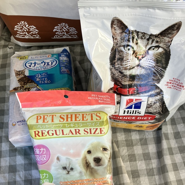 猫の譲渡会&相談会(2025年11月22日)