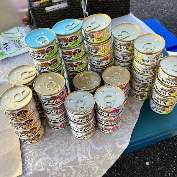 猫の譲渡会&相談会(2025年11月22日)