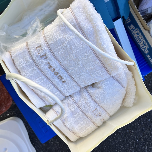 猫の譲渡会&相談会(2025年11月22日)