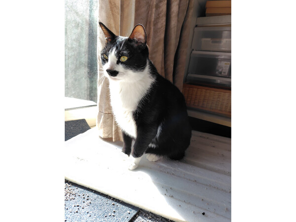 迷子のみっちゃん