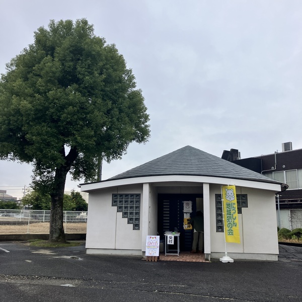 猫の譲渡会&相談会(2025年11月22日)