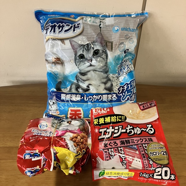 猫の譲渡会&相談会(2025年11月22日)