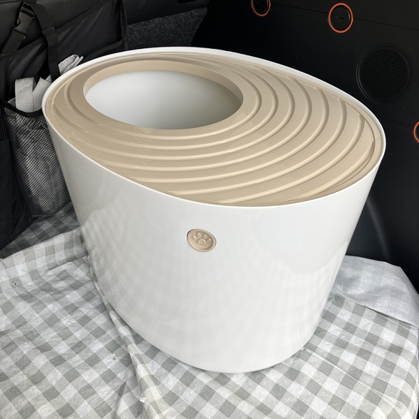 猫の譲渡会&相談会(2025年11月22日)