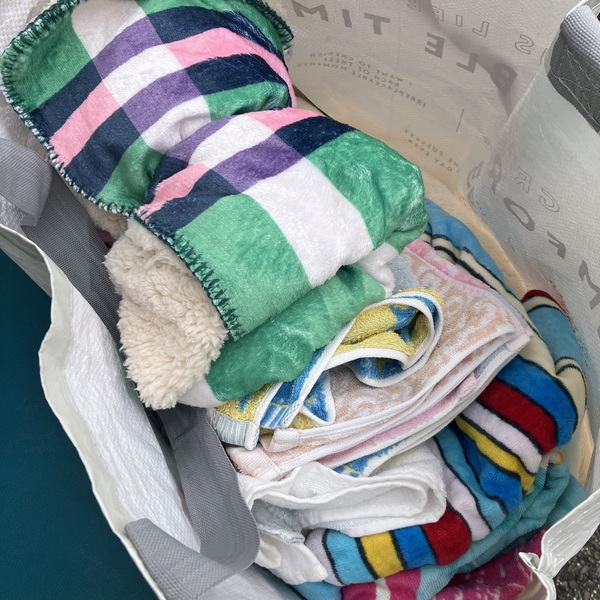 猫の譲渡会&相談会(2025年11月22日)