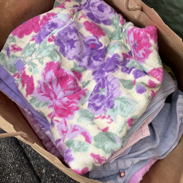 猫の譲渡会&相談会(2025年11月22日)