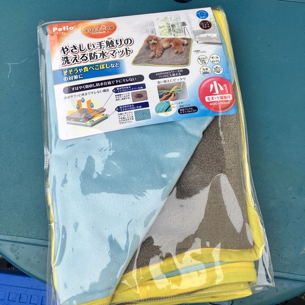 猫の譲渡会&相談会(2025年11月22日)