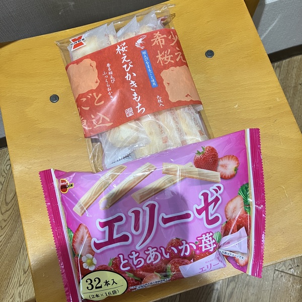 猫の譲渡会&相談会(2025年11月22日)