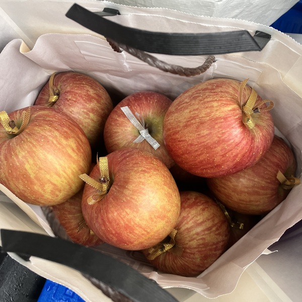 猫の譲渡会&相談会(2025年11月22日)