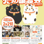 猫の譲渡会&相談会(2026年2月21日)