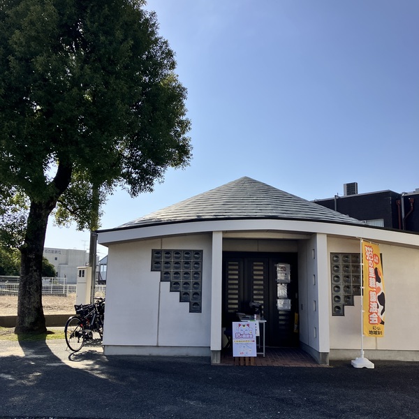 猫の譲渡会&相談会(2026年1月17日)