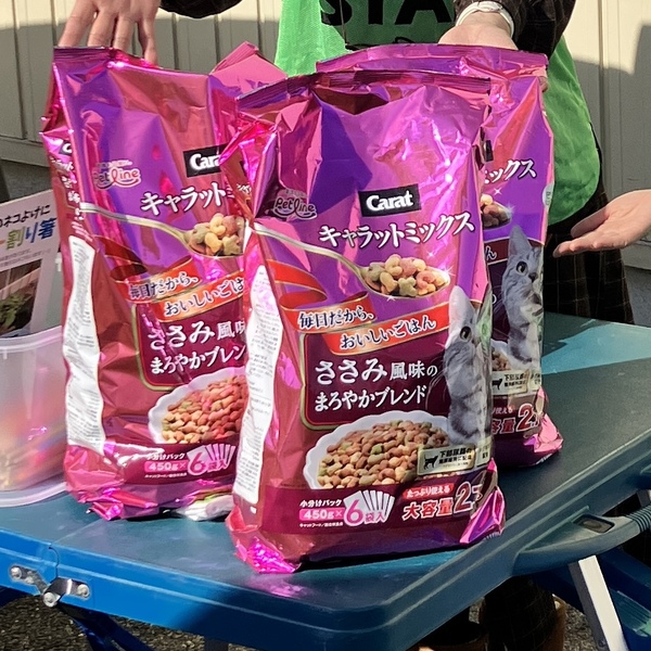 猫の譲渡会&相談会(2026年1月17日)