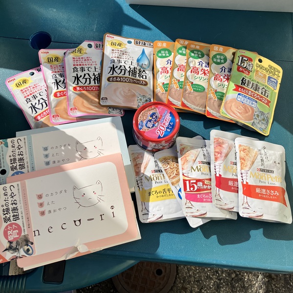 猫の譲渡会&相談会(2026年1月17日)