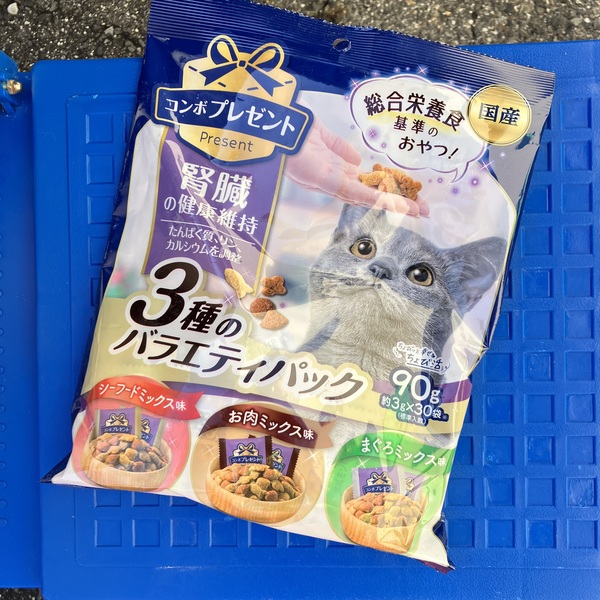 猫の譲渡会&相談会(2026年1月17日)