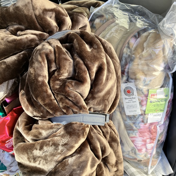 猫の譲渡会&相談会(2026年1月17日)