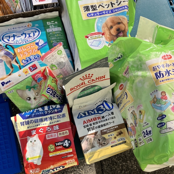 猫の譲渡会&相談会(2026年1月17日)